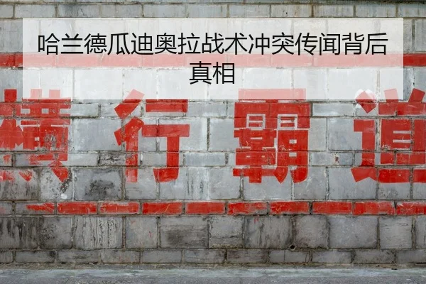 ha-lan-de-gua-di-ao-la-zhan-shu-chong-tu-chuan-wen-bei-hou-zhen-xiang-2-686.jpg