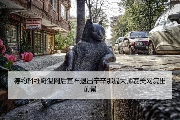 de-yue-ke-wei-qi-wen-wang-hou-xuan-bu-tui-chu-xin-xin-na-ti-da-shi-sai-mei-wang-fu-chu-qian-jing-2-461.jpg