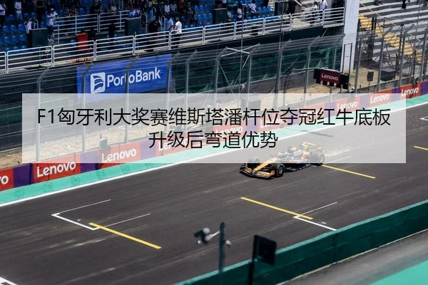 xiong-ya-li-da-jiang-sai-wei-si-ta-pan-gan-wei-duo-guan-hong-niu-di-ban-sheng-ji-hou-wan-dao-you-shi-3-658.jpg
