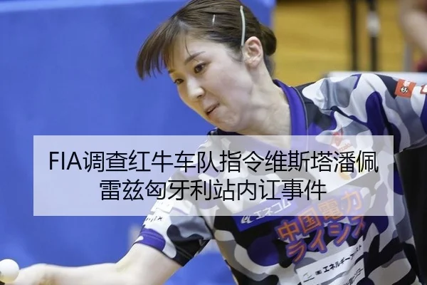 FIA调查红牛车队指令维斯塔潘佩雷兹匈牙利站内讧事件