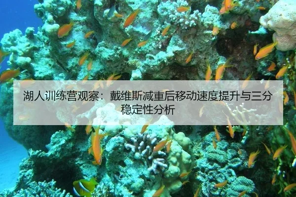hu-ren-xun-lian-ying-guan-cha-dai-wei-si-jian-zhong-hou-yi-dong-su-du-ti-sheng-yu-san-fen-wen-ding-xing-fen-xi-3-112.jpg